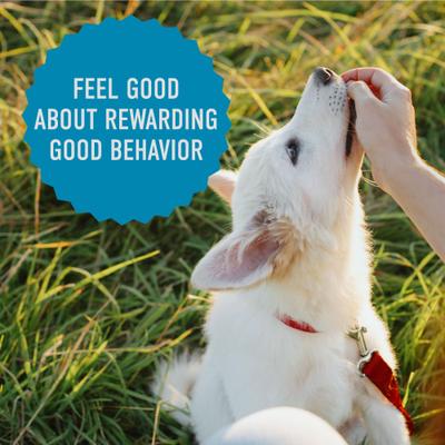 Show full view: Cloud Star Tricky Trainers with Salmon Soft & Chewy Dog Treats, 5-oz bag slide 7 of 10