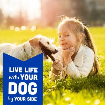 Show full view: Cloud Star Wag More Bark Less Bacon, Cheese & Apples Soft Chew Dog Treats, 6-oz bag slide 9 of 11