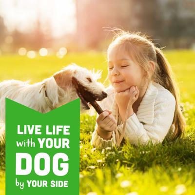 Show full view: Cloud Star Wag More Bark Less Chicken & Sweet Potatoes Grain-Free Soft Chew Dog Treats, 5-oz bag slide 8 of 10