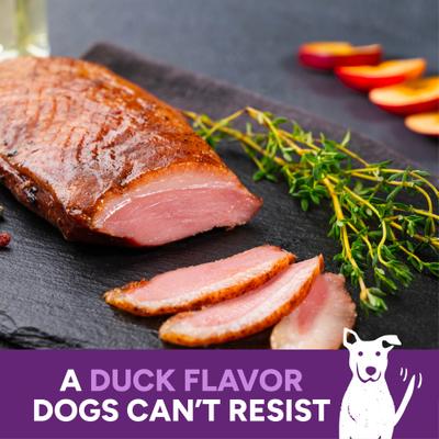 Show full view: Cloud Star Wag More Bark Less Duck & Apple Recipe Grain-Free Jerky Dog Treats, 10-oz bag slide 5 of 10