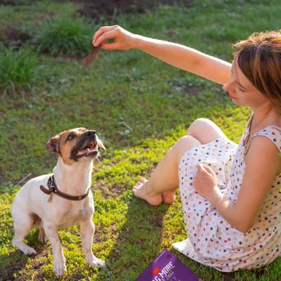 Show full view: Cloud Star Wag More Bark Less Duck & Apple Recipe Grain-Free Jerky Dog Treats, 10-oz bag slide 7 of 10