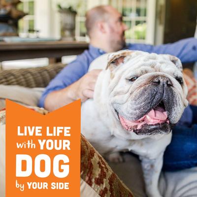 Show full view: Cloud Star Wag More Bark Less Grain-Free Peanut Butter & Apples Crunchy Dog Treats, 2.5-lb bag slide 5 of 11