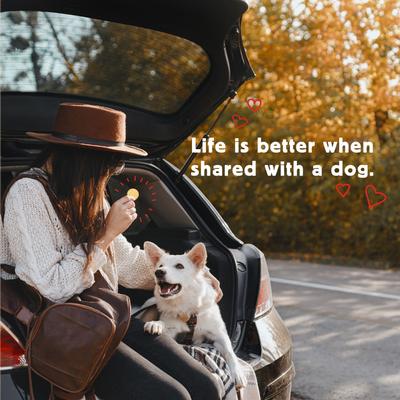 Show full view: Cloud Star Wag More Bark Less Human Grade Peanut Butter Sandwich Cookie Dog Treats, 11.8-oz tray slide 6 of 9