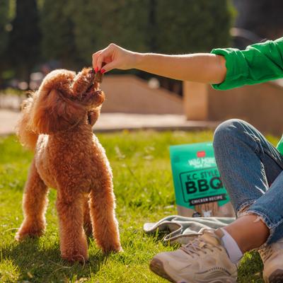 Show full view: Cloud Star Wag More Bark Less K.C. Style BBQ Chicken Recipe Grain-Free Jerky Dog Treats, 10-oz bag slide 7 of 11