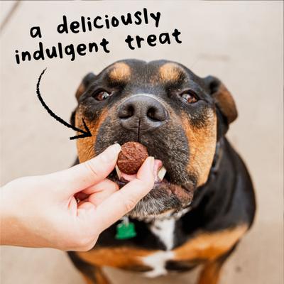 Show full view: Cloud Star Wag More Bark Less Meatball Bites Gyro Lamb Recipe Grain-Free Dog Treats, 14-oz bag slide 6 of 10