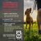 Show in main carousel: Cloud Star Wag More Bark Less Meatball Bites Italian Beef Recipe Grain-Free Dog Treats, 14-oz bag slide 7 of 10