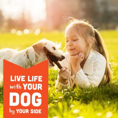 Show full view: Cloud Star Wag More Bark Less Peanut Butter & Apples Grain-Free Soft Chew Dog Treats, 20-oz bag slide 8 of 10