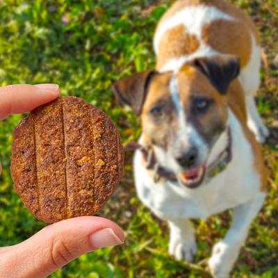 Show full view: Cloud Star Wag More Bark Less Sliders BBQ Chicken Recipe Grain-Free Soft & Chewy Dog Treats, 8-oz bag slide 7 of 9