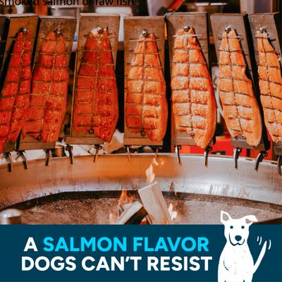 Show full view: Cloud Star Wag More Bark Less Smoked Salmon Grain-Free Jerky Dog Treats, 10-oz bag slide 5 of 11