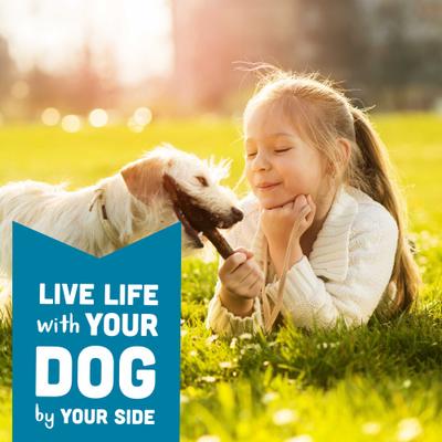 Show full view: Cloud Star Wag More Bark Less Smooth Aged Cheddar Grain-Free Soft Chew Dog Treats, 5-oz bag slide 8 of 9