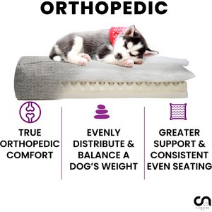 Club Nine Pets Metro Orthopedic Cat & Dog Bed, Oatmeal, Large