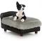 Show in main carousel: Club Nine Pets Modern Sofa Cat & Dog Bed, Black, Medium slide 1 of 8