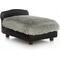 Show in main carousel: Club Nine Pets Modern Sofa Cat & Dog Bed, Black, Medium slide 2 of 8