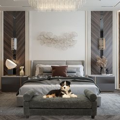 Club Nine Pets Serene Orthopedic Furniture Style Elevated Dog & Cat Sofa Bed with Removable Cover, Charcoal, Medium