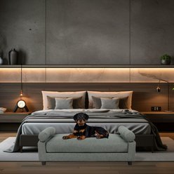 Club Nine Pets Serene Orthopedic Furniture Style Elevated Dog & Cat Sofa Bed with Removable Cover, Gray, Medium