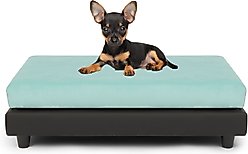 Club Nine Pets Snooze Collection Orthopedic Elevated Dog & Cat Bed with Removable Cover, Aqua, Medium