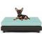 Show in main carousel: Club Nine Pets Snooze Collection Orthopedic Elevated Dog & Cat Bed with Removable Cover, Aqua, Medium slide 1 of 6
