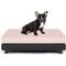 Show in main carousel: Club Nine Pets Snooze Collection Orthopedic Elevated Dog & Cat Bed with Removable Cover, Pink, Large slide 1 of 8