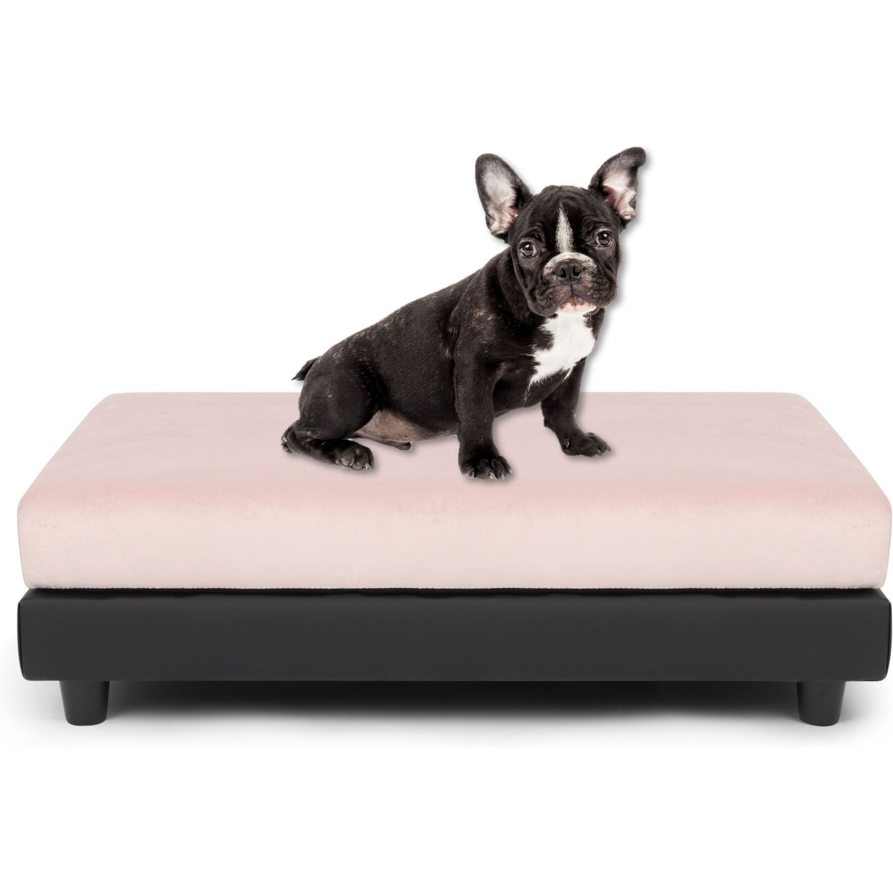 Club Nine Pets Snooze Collection Orthopedic Elevated Dog & Cat Bed with Removable Cover, Pink, Medium
