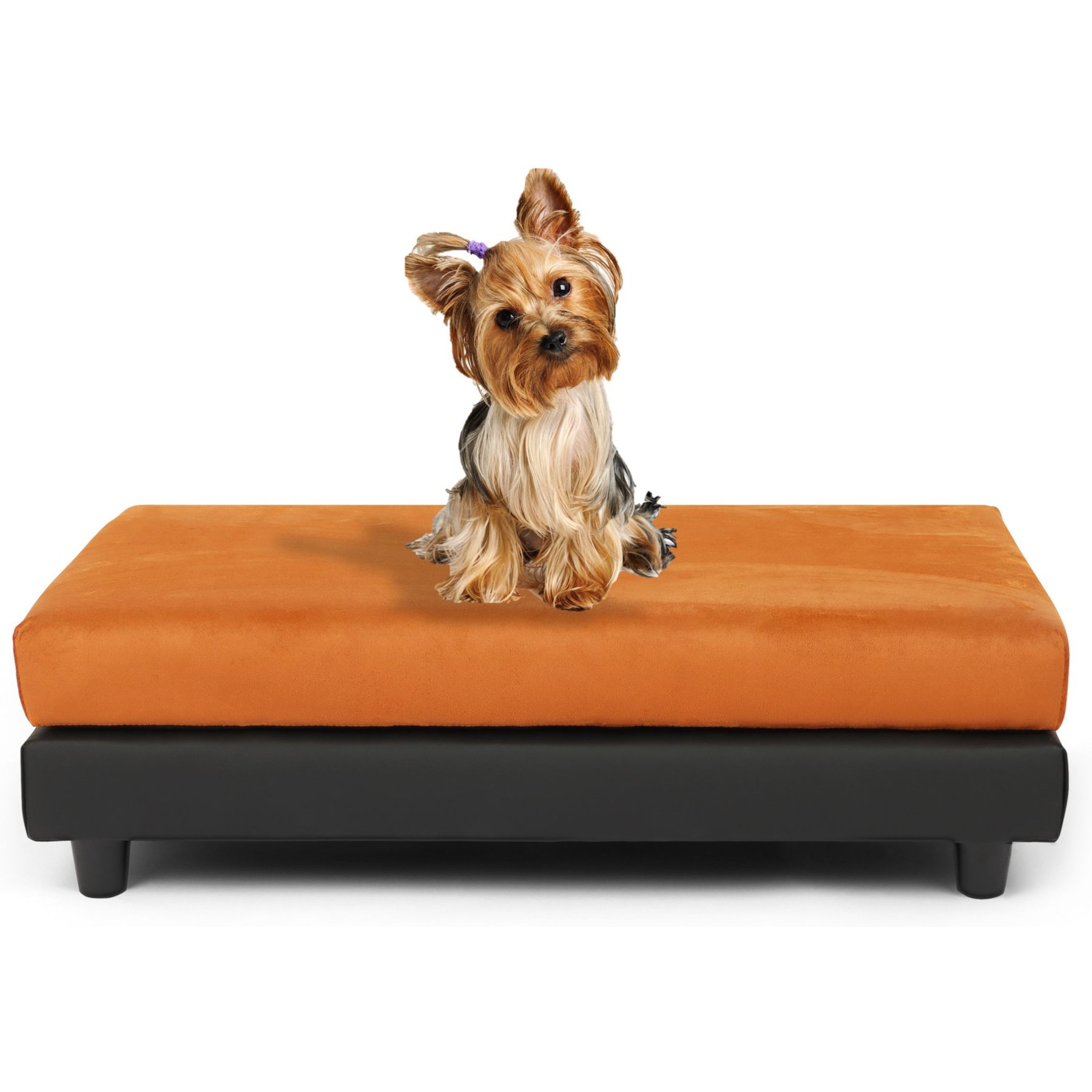Club Nine Pets Snooze Collection Orthopedic Elevated Dog & Cat Bed with Removable Cover, Rust, Large