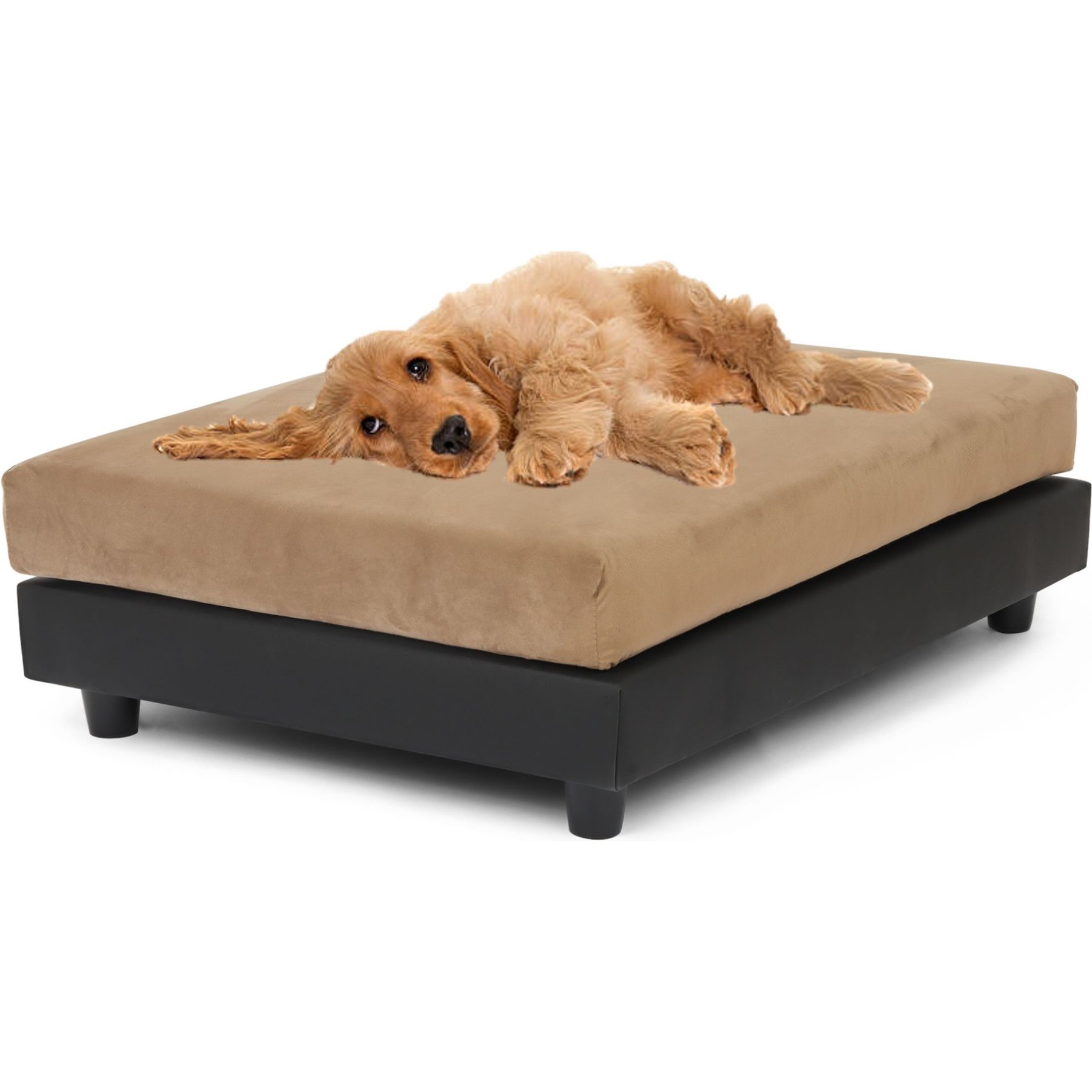 Club Nine Pets Snooze Collection Orthopedic Elevated Dog & Cat Bed with Removable Cover, Taupe, Large