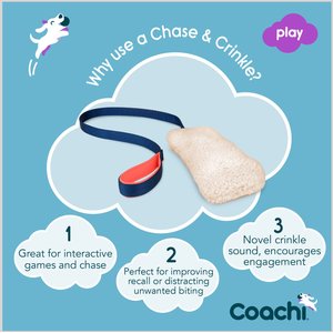 Coachi Chase & Crinkle Dog Dummy, Navy
