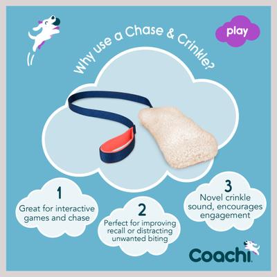 Show full view: Coachi Chase & Crinkle Dog Dummy, Navy slide 4 of 10