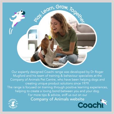 Show full view: Coachi Chase & Crinkle Dog Dummy, Navy slide 9 of 10