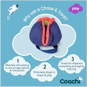 Coachi Chase & Treat Dog Dummy, Navy