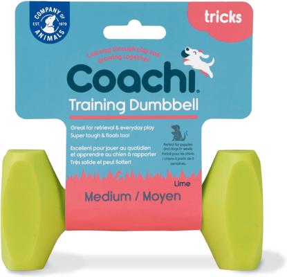 Show full view: Coachi Dumbbell Dog Training Tool, Lime, Medium slide 3 of 10