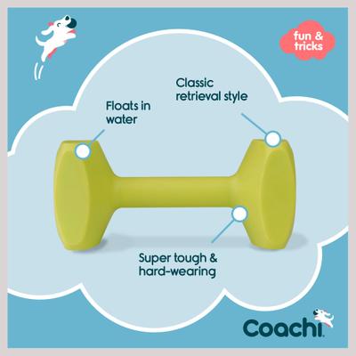 Show full view: Coachi Dumbbell Dog Training Tool, Lime, Medium slide 5 of 10