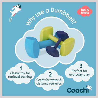 Show full view: Coachi Dumbbell Dog Training Tool, Navy, Small slide 3 of 9