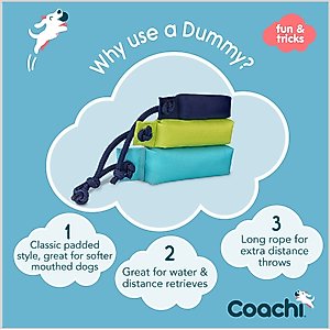 Coachi Dummy Dog Training Dummy, Lime, Medium