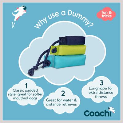 Show full view: Coachi Dummy Dog Training Dummy, Lime, Medium slide 3 of 8