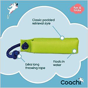 Coachi Dummy Dog Training Dummy, Lime, Medium
