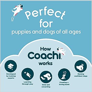 Coachi Dummy Dog Training Dummy, Lime, Medium