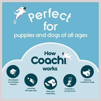 Show full view: Coachi Multi-Clicker Dog Dummy, Navy slide 8 of 9