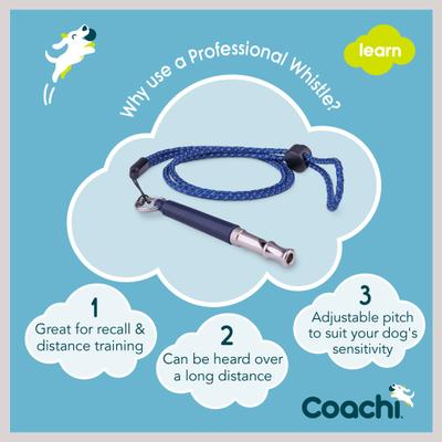 Show full view: Coachi Professional Dog Training Whistle, Navy slide 4 of 9