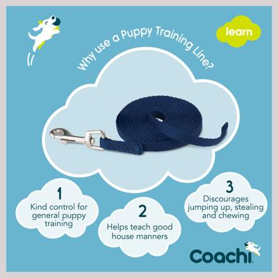 Show full view: Coachi Puppy Training Dog Leash, Navy slide 4 of 9