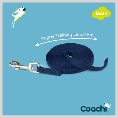 Show full view: Coachi Puppy Training Dog Leash, Navy slide 6 of 9