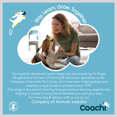 Show full view: Coachi Puppy Training Dog Leash, Navy slide 9 of 9