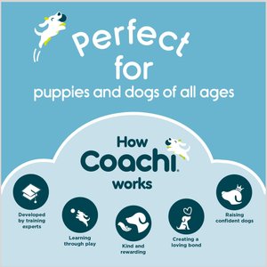 Coachi Toilet Dog Training Bells, Navy