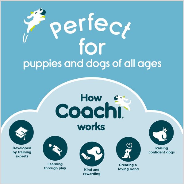 Coachi Training Line Dog Leash, Navy & Coral