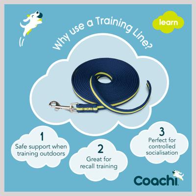 Show full view: Coachi Training Line Dog Leash, Navy & Lime slide 4 of 9