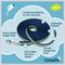 Show in main carousel: Coachi Training Line Dog Leash, Navy & Lime slide 5 of 9