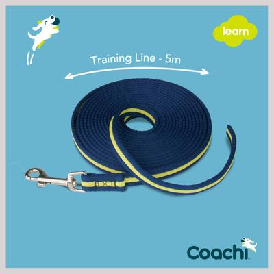 Show full view: Coachi Training Line Dog Leash, Navy & Lime slide 6 of 9