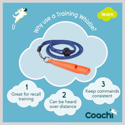 Show full view: Coachi Training Whistle Dog Training, Coral slide 4 of 9