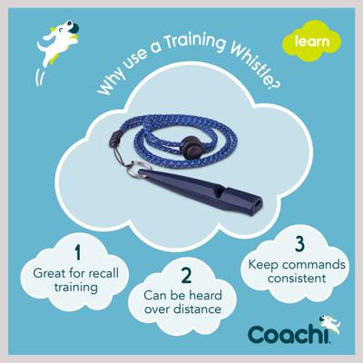 Show full view: Coachi Training Whistle Dog Training, Navy slide 4 of 9