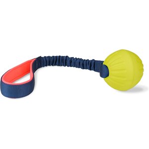 Coachi Tuggi Ball Dog Dummy, Navy