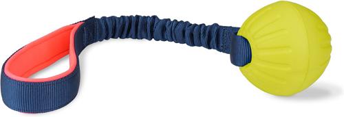 Show full view: Coachi Tuggi Ball Dog Dummy, Navy slide 2 of 9